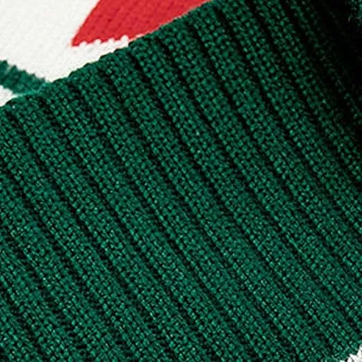 Winter Cozy Boys and Girls Green Sweater